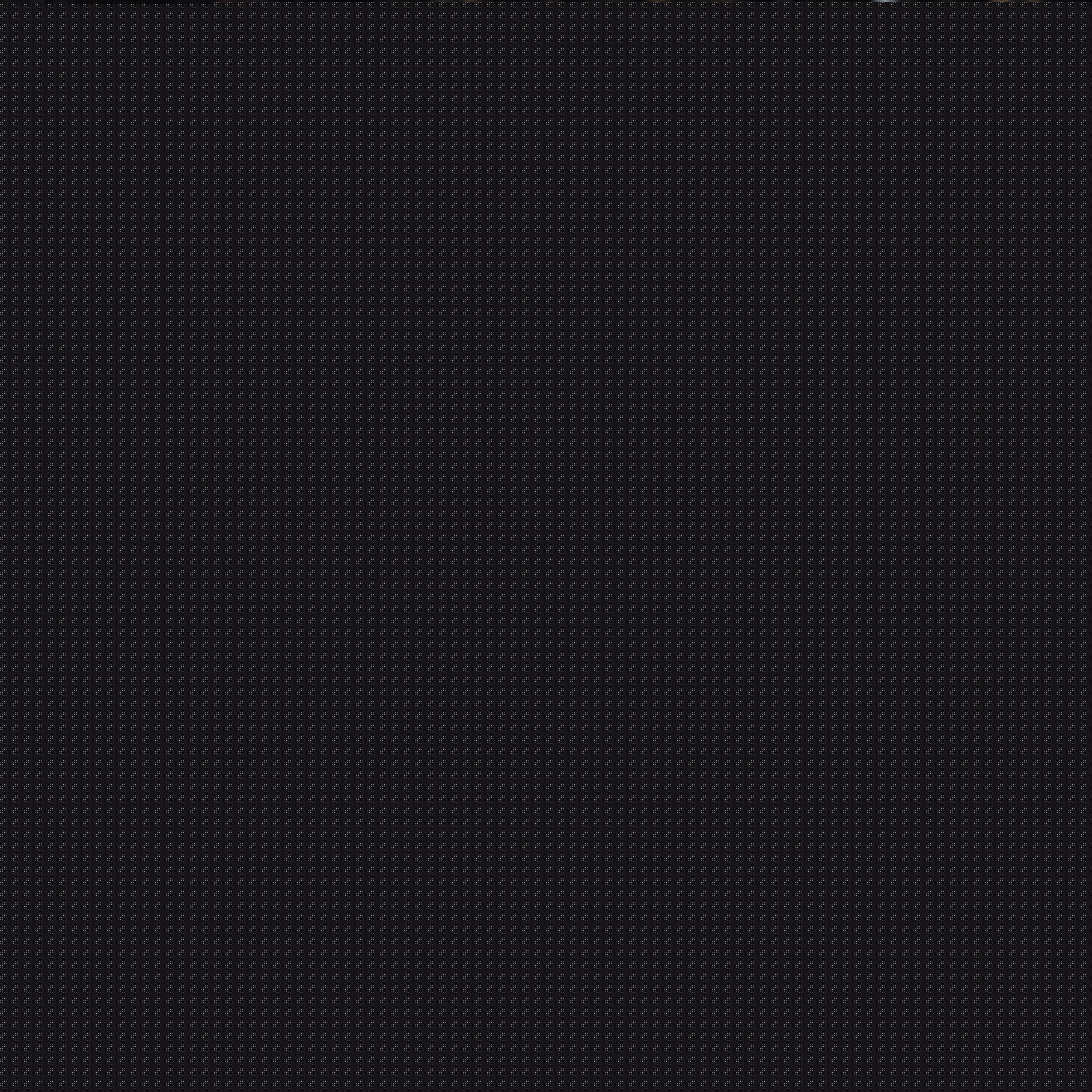 导者的角色