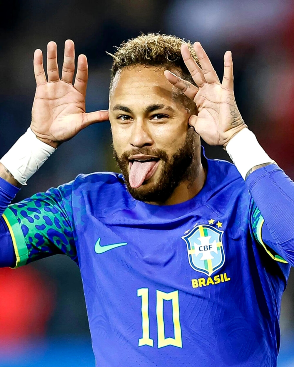 也是对未来 也是对未来