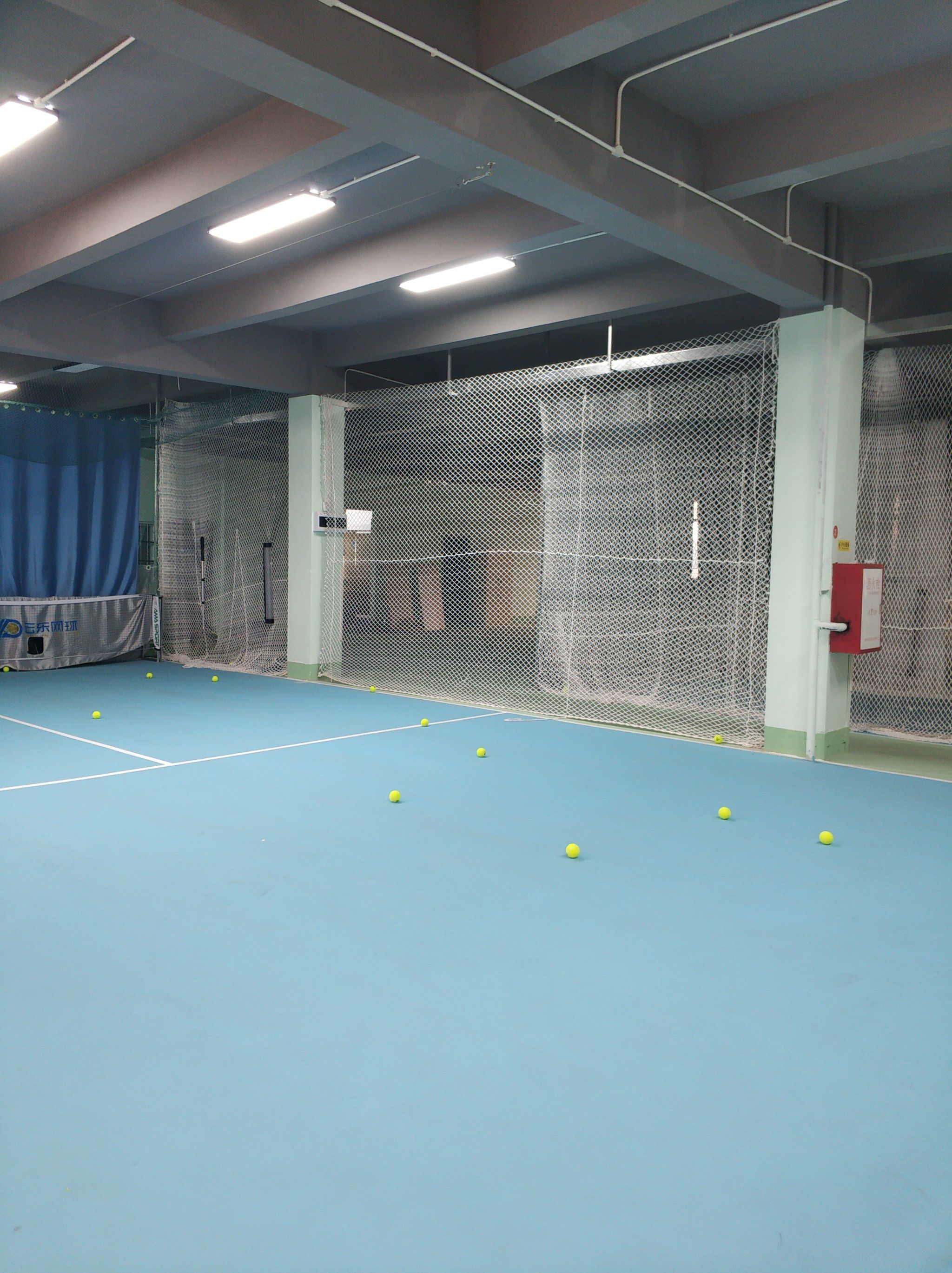 龙舟运动的 龙舟运动的